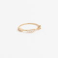 ANILLO PASOS LUMINOSOS
