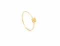 CAMILLE